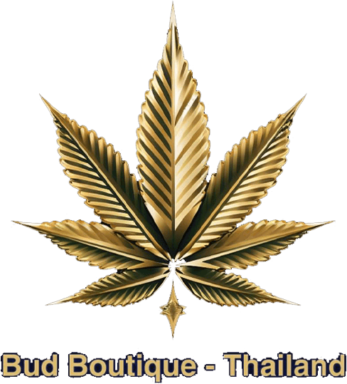 Cannabis store Phuket Weed store in Thailand Bud Boutique Thailand