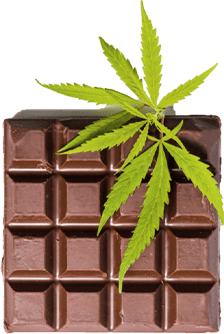 marijuana edibles with chocolate